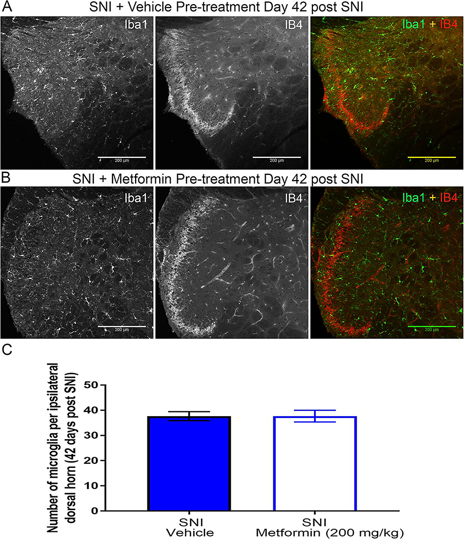 Figure 11: