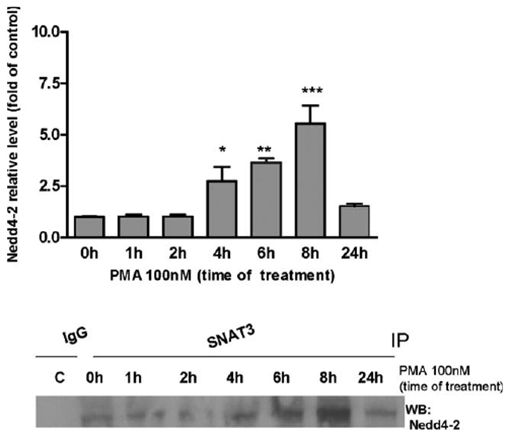 Fig. 8.