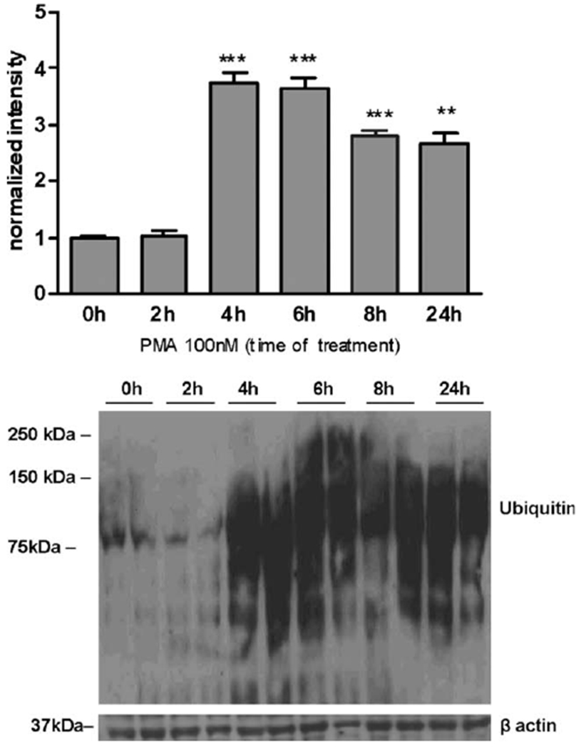 Fig. 9.