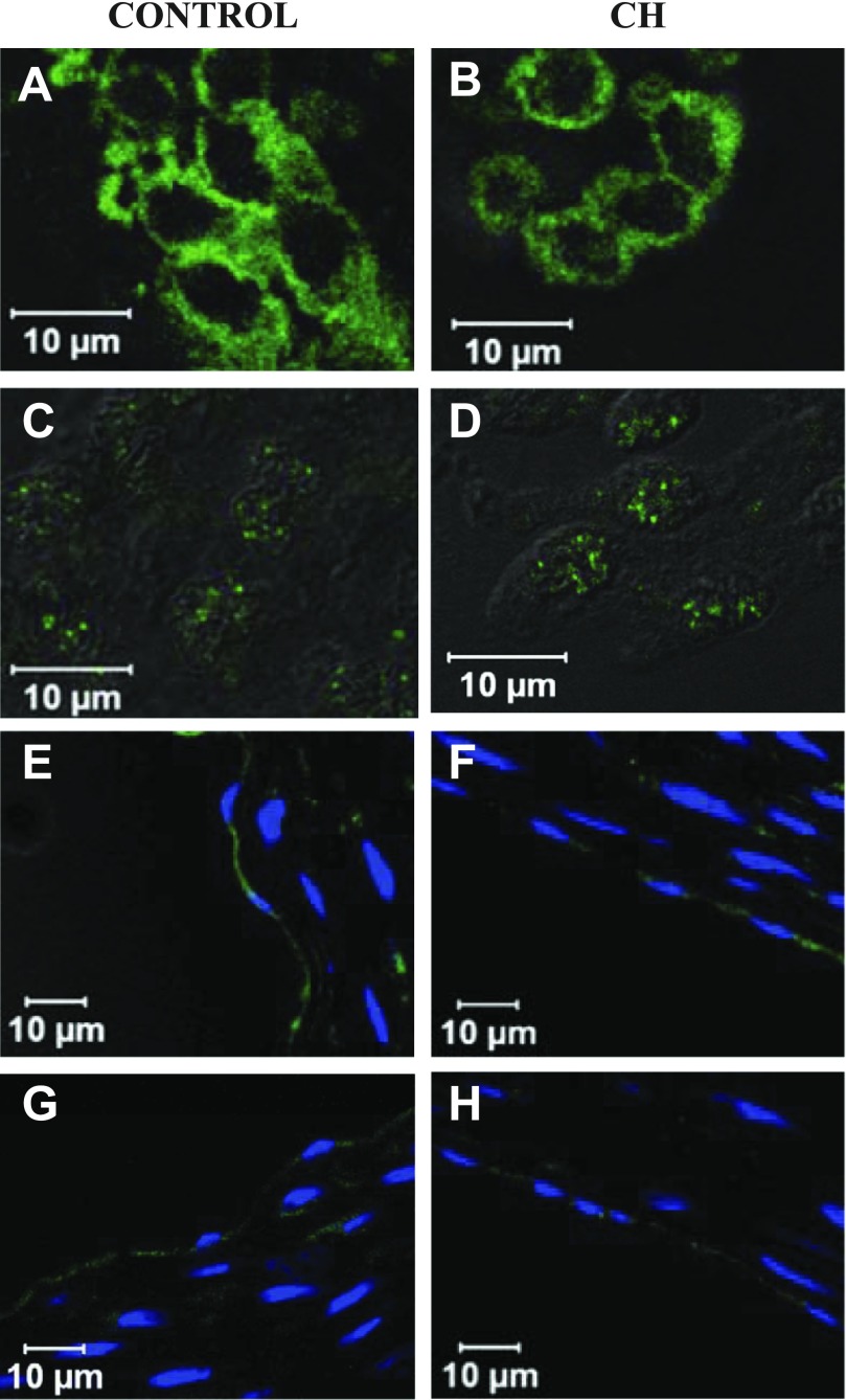 Fig. 10.