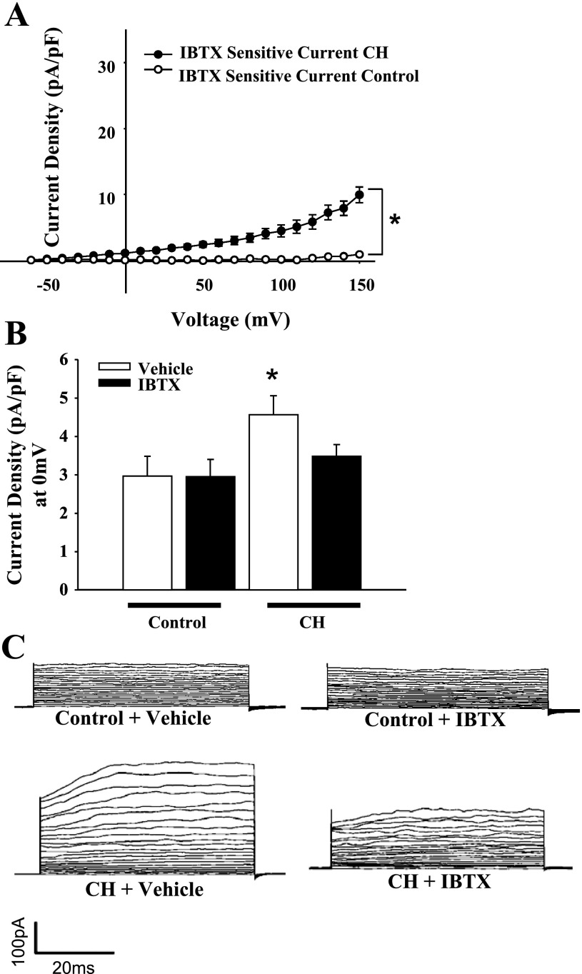 Fig. 8.