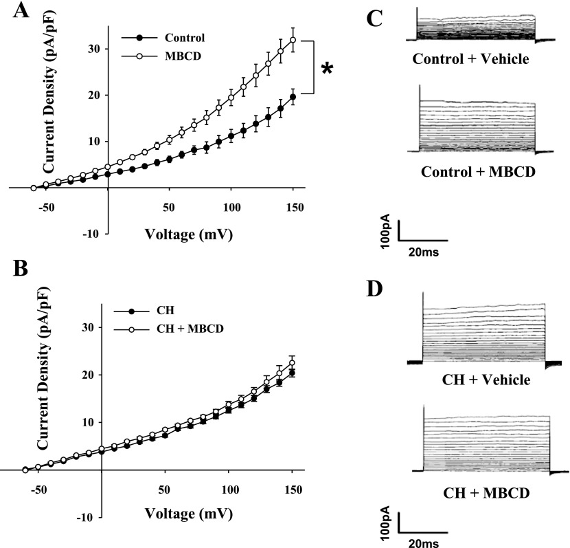 Fig. 11.