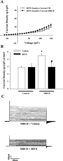 Fig. 12.