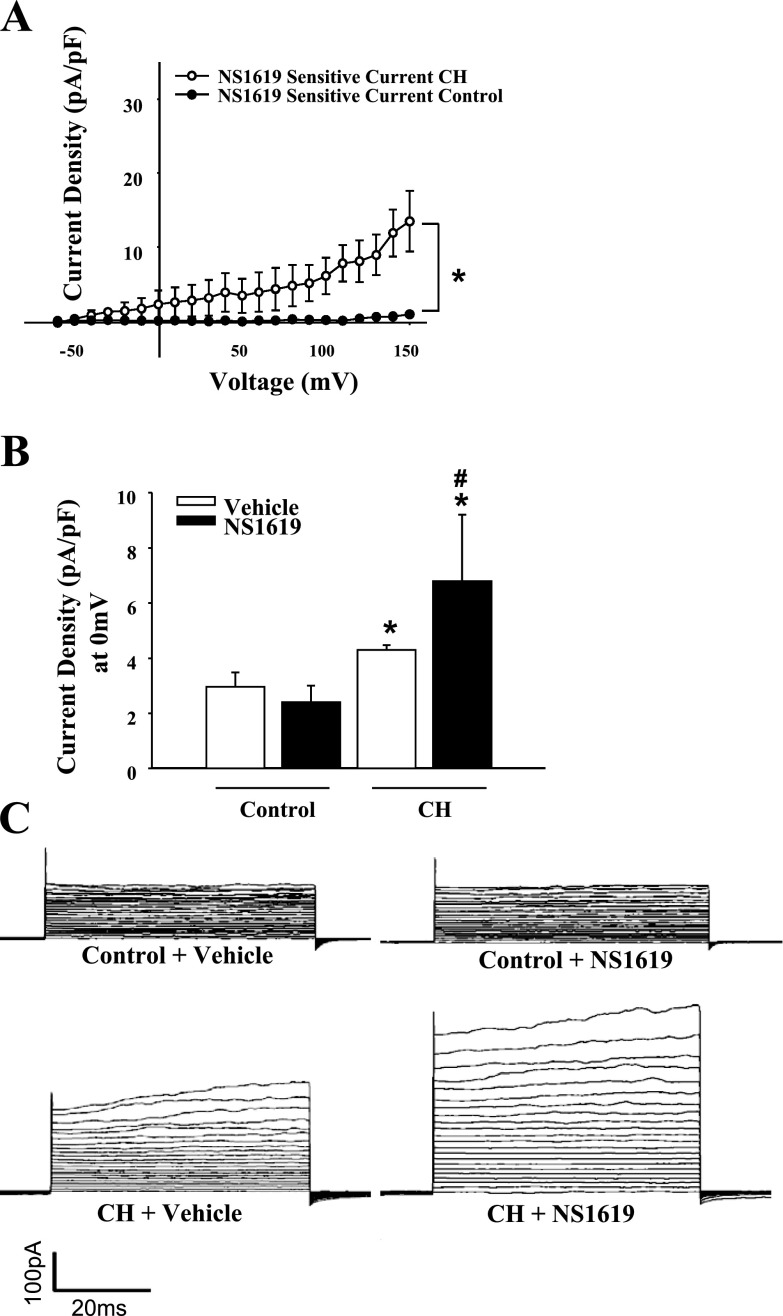 Fig. 9.