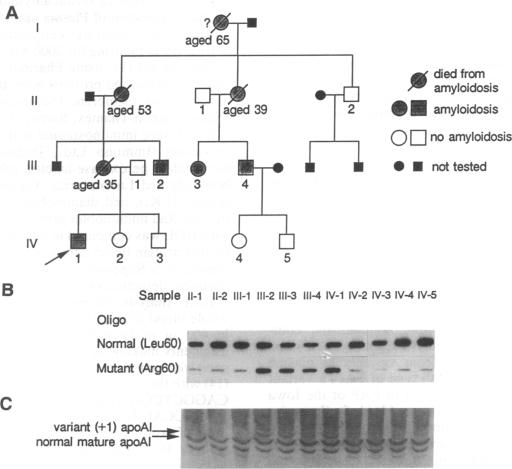 graphic file with name pnas01090-0112-a.jpg