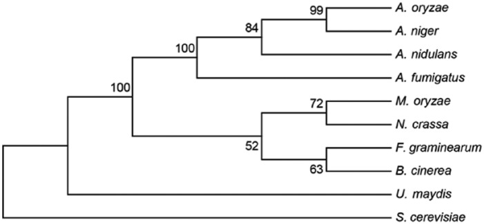 Figure 1.