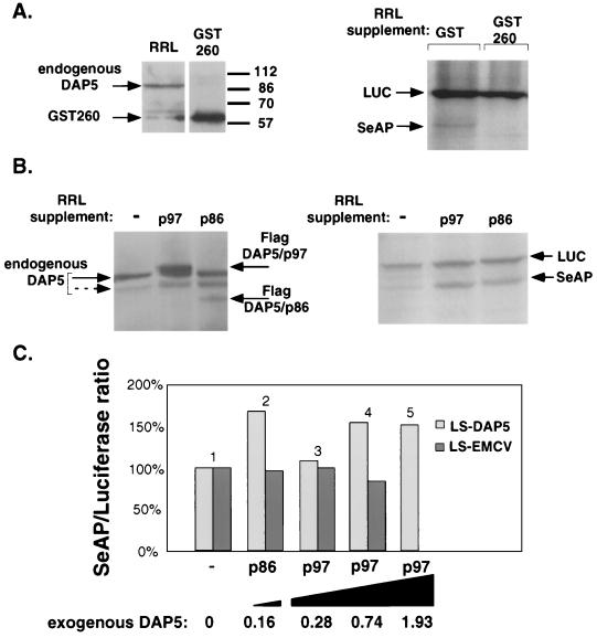 FIG. 7