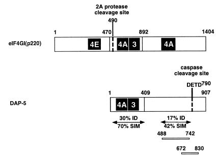 FIG. 8