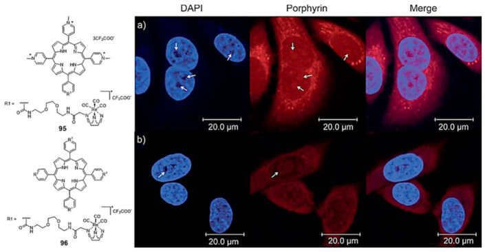 Figure 31