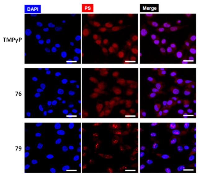 Figure 24