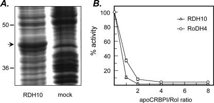 FIGURE 1.