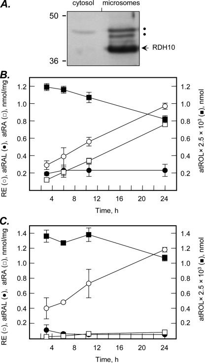 FIGURE 3.