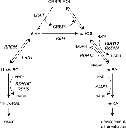 FIGURE 6.