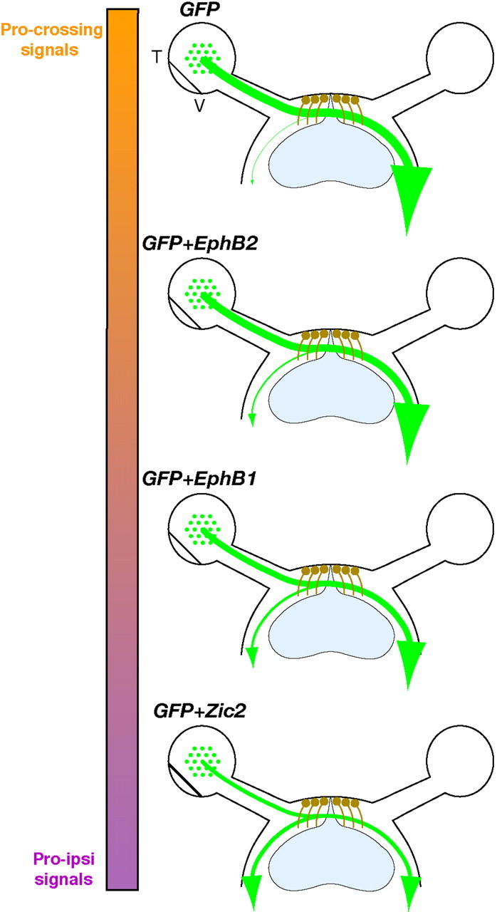 Figure 9.