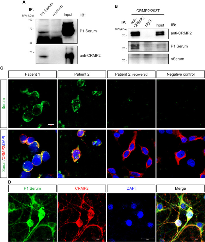 Figure 4