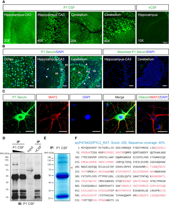 Figure 3