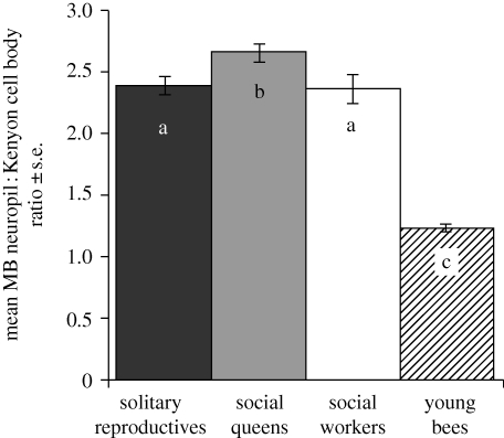 Figure 3.