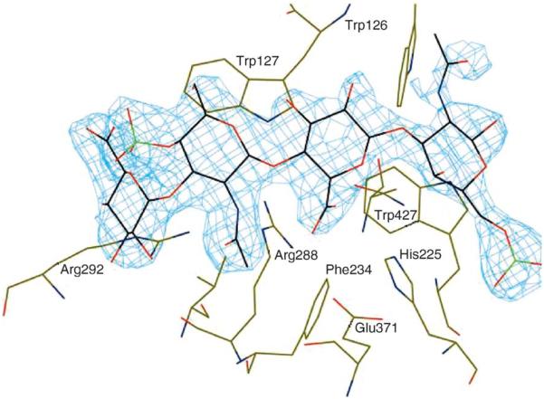 FIGURE 4