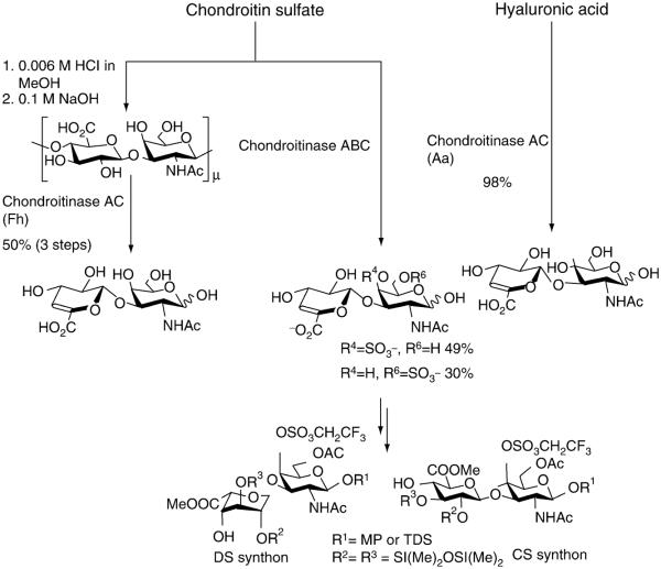 FIGURE 12