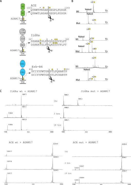 Fig. S3.