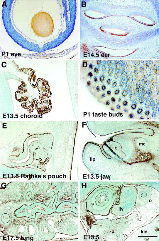 Figure 9.