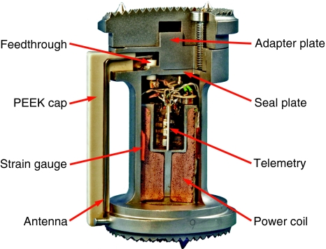 Fig. 1