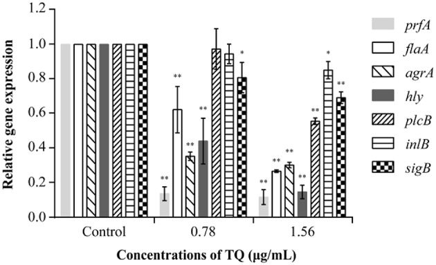 Figure 7