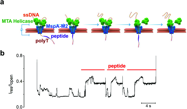 Fig. 3