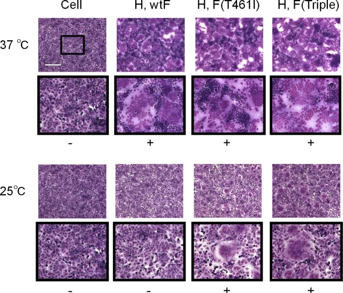 FIG 2