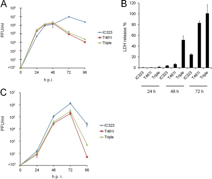 FIG 3