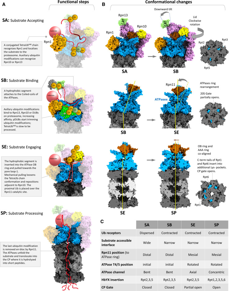 Figure 4.