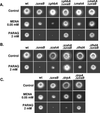 FIG. 8.