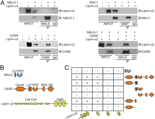 Figure 2.