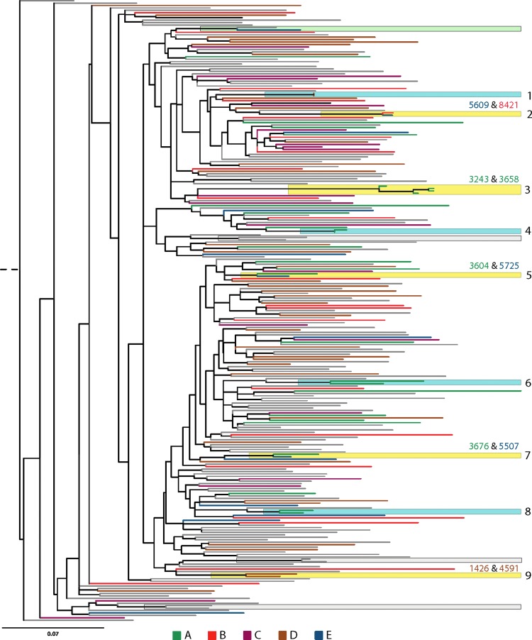 FIG. 1.