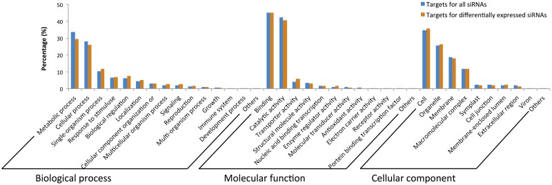 Fig 11