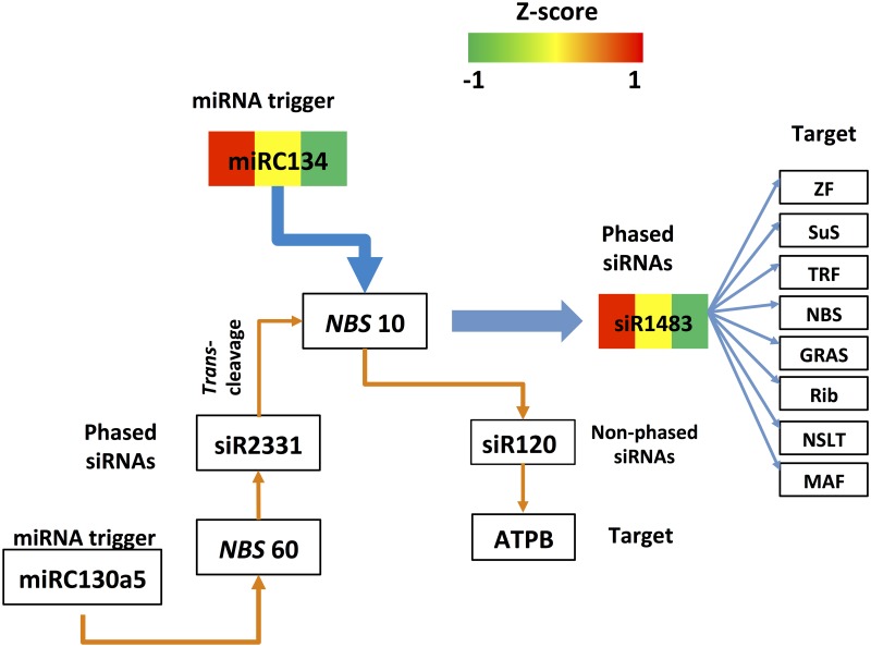 Fig 10