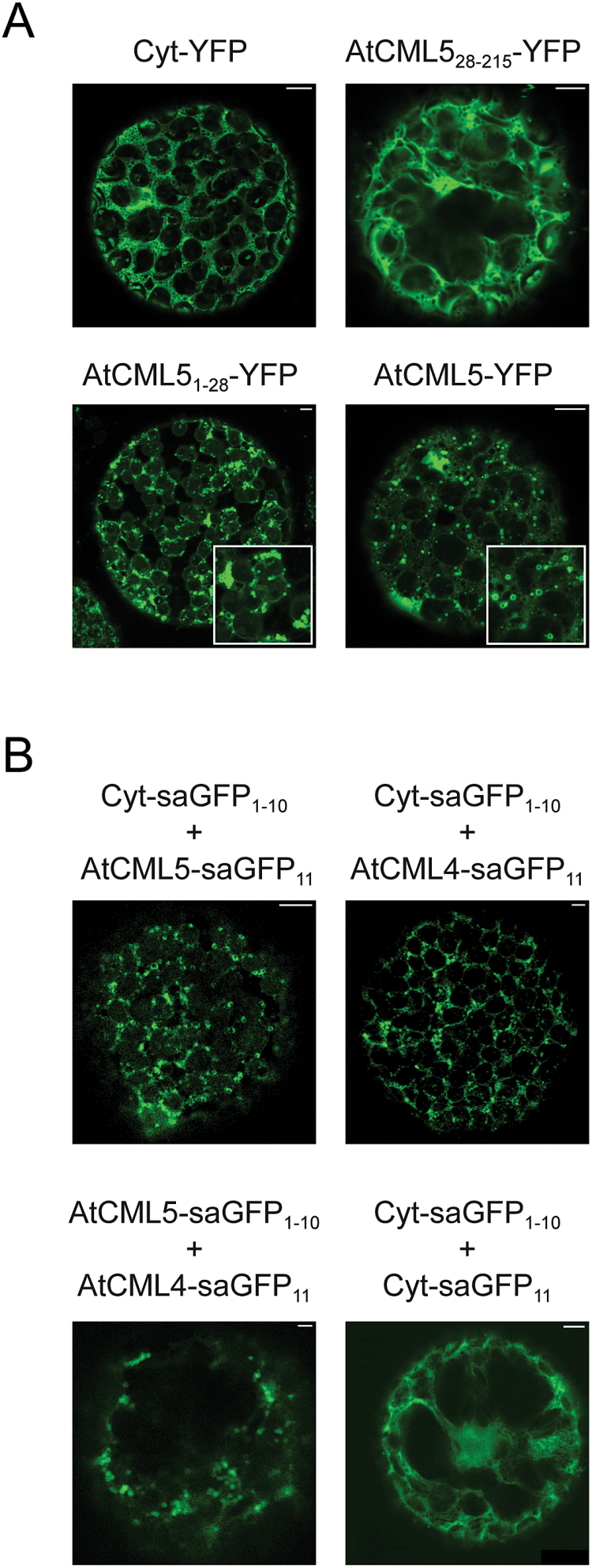 Fig. 4.