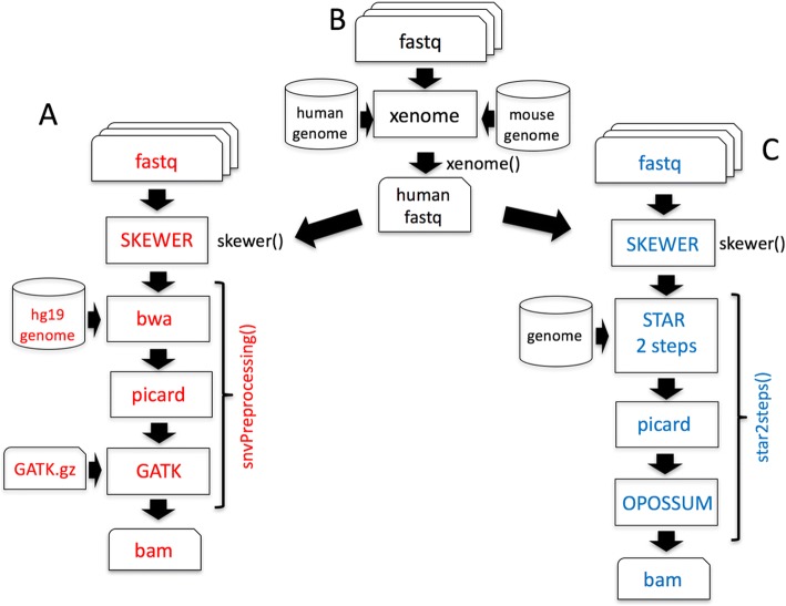 Fig. 3