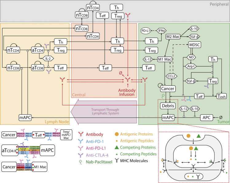 Figure 1