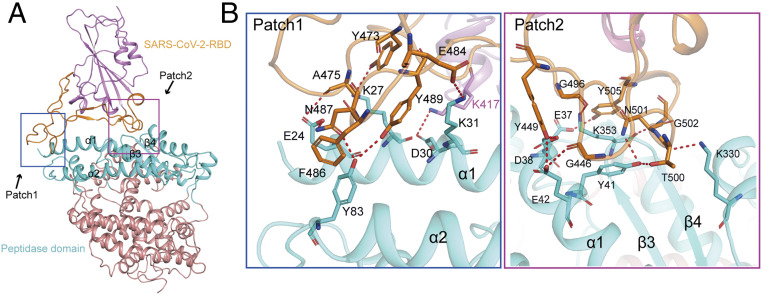 Fig. 3.