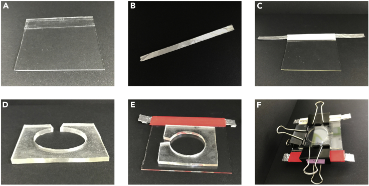 Figure 1