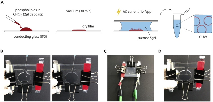 Figure 2