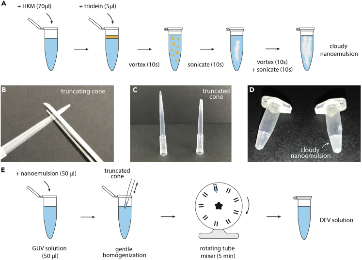 Figure 3