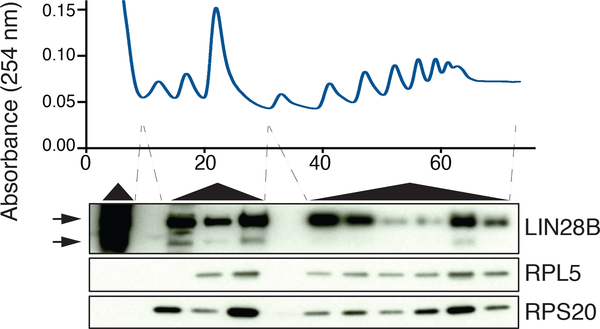 Extended Data Fig. 4: