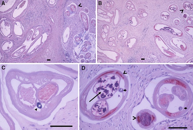 Fig. 3