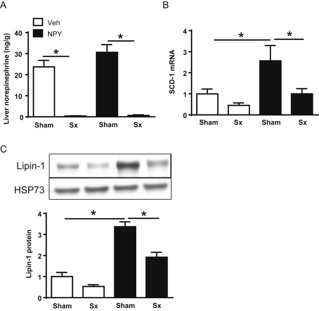 Figure 6