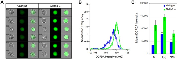 Fig 4