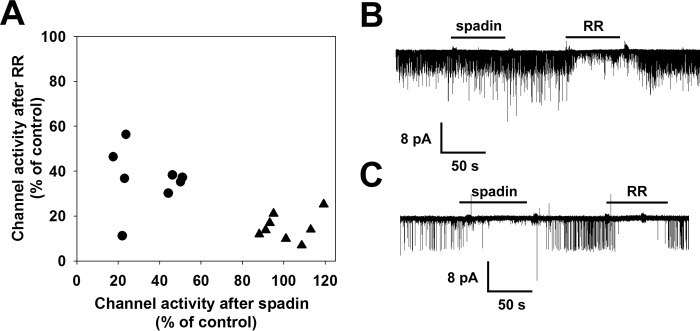 FIGURE 10.