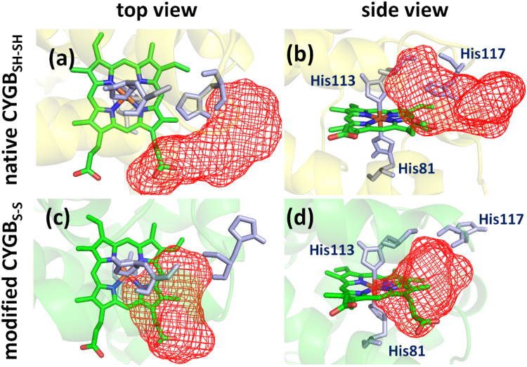 Fig. 6