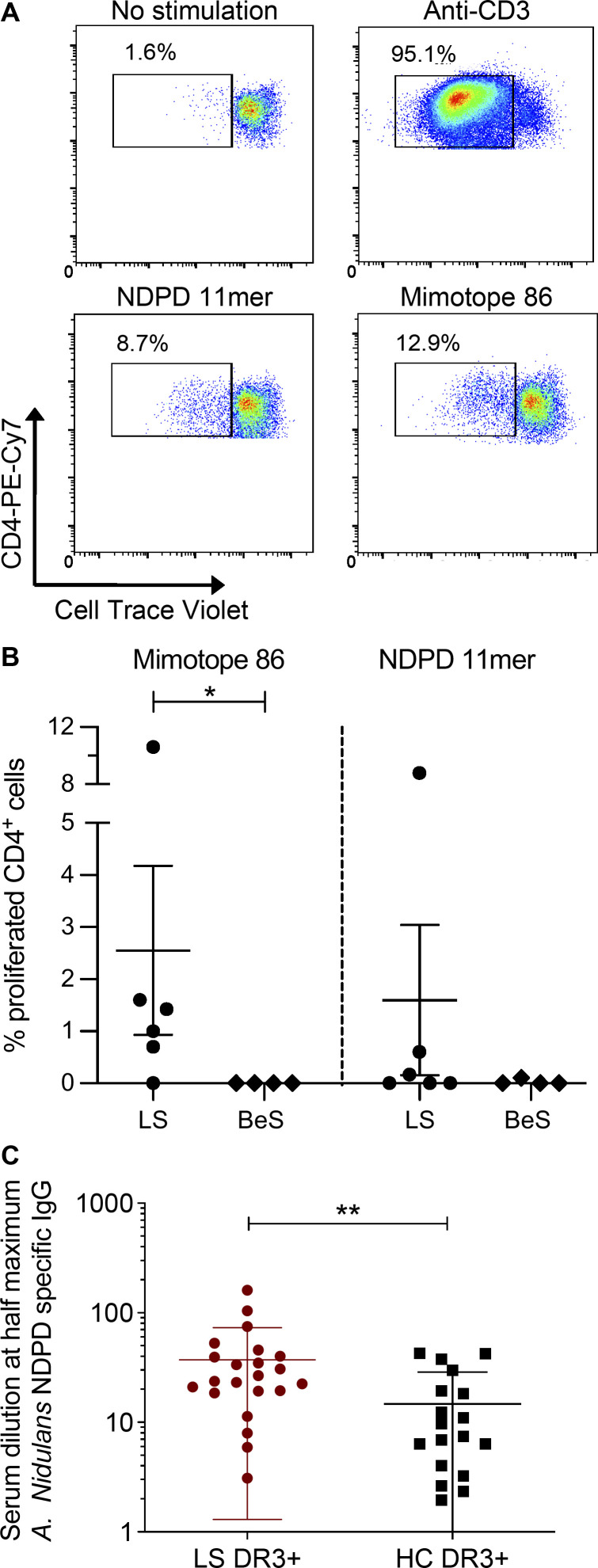 Figure 7.